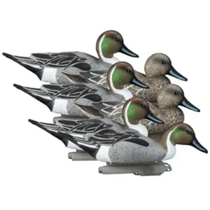 Higdon  Pintail Floater Duck Decoys